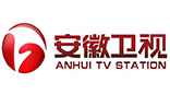 安徽衛(wèi)視